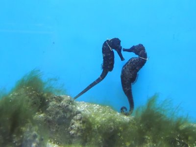 DSCN1218.JPG
