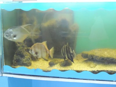 DSCN1219.JPG