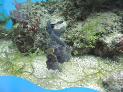 DSCN1220.JPG