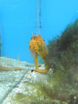 DSCN1222.JPG