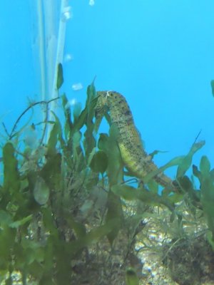 DSCN1224.JPG
