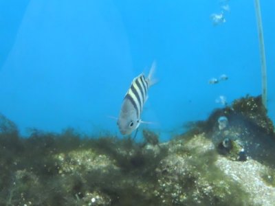DSCN1225.JPG