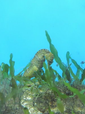 DSCN1227.JPG