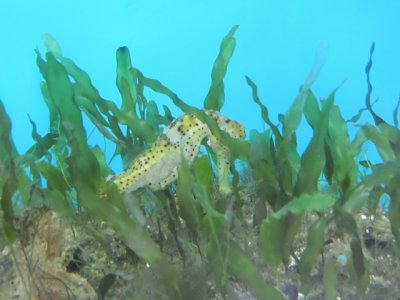 DSCN1228.JPG