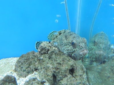 DSCN1247.JPG