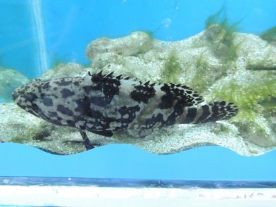 DSCN1258.JPG