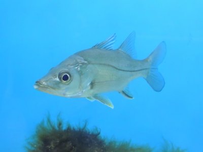 DSCN1261.JPG