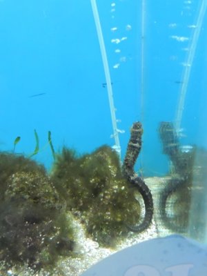 DSCN1272.JPG