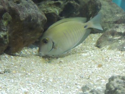 DSCN1280.JPG