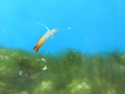DSCN1289.JPG