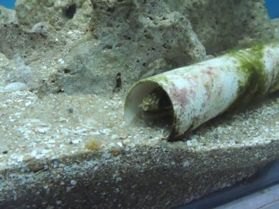 DSCN1290.JPG