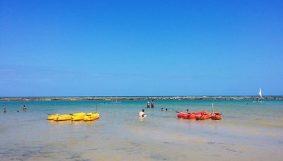 20150928_131205.jpg
