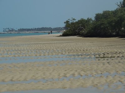 DSCN0935.JPG