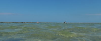 DSCN0950.JPG
