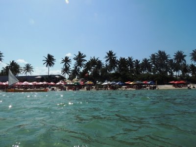 DSCN0971.JPG