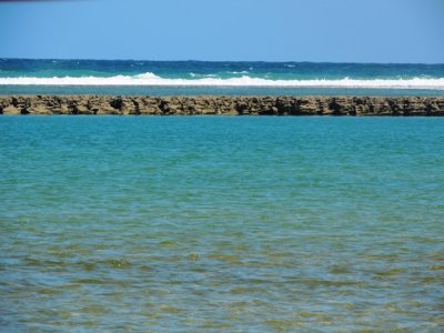 DSCN0994.JPG