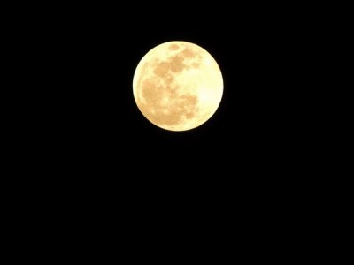 DSCN0707.JPG