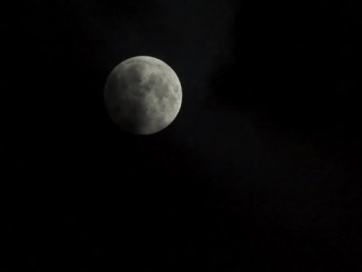 DSCN0738.JPG
