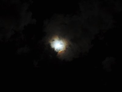 DSCN0746.JPG