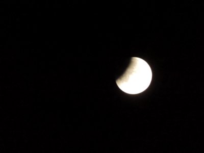 DSCN0772.JPG