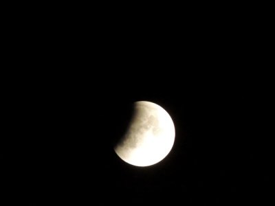 DSCN0773.JPG