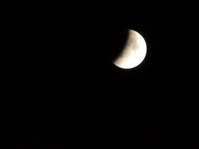 DSCN0776.JPG