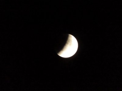DSCN0778.JPG