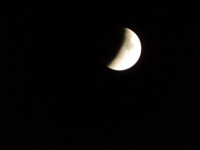 DSCN0780.JPG