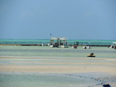 DSCN9799.JPG