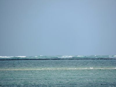 DSCN9802.JPG