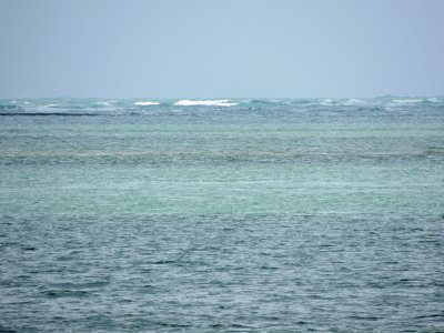 DSCN9805.JPG