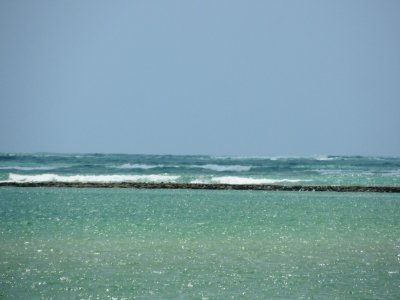 DSCN9810.JPG