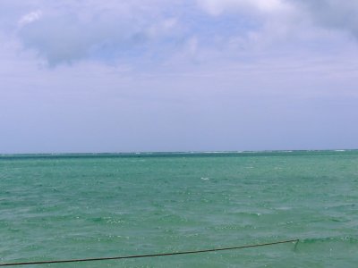 DSCN9811.JPG