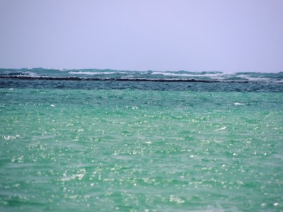 DSCN9815.JPG