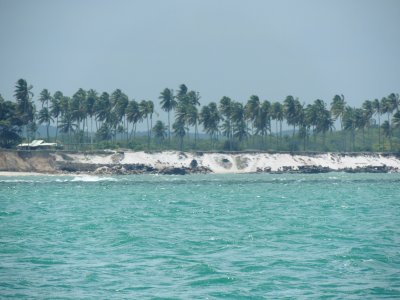 DSCN9820.JPG