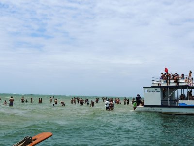 DSCN9824.JPG