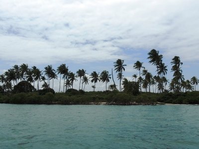 DSCN9853.JPG