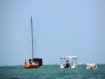 DSCN9873.JPG