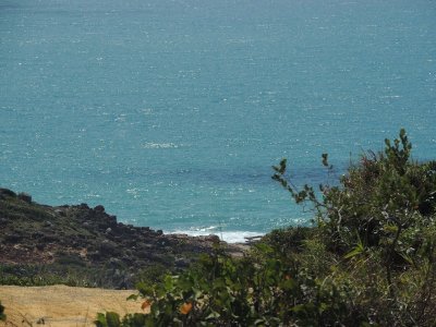 DSCN0079.JPG