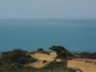 DSCN0080.JPG