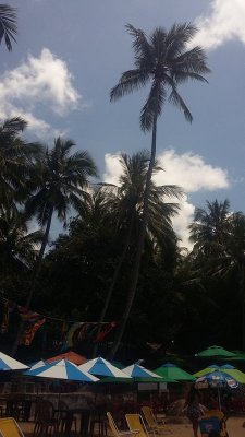 20150925_114451.jpg