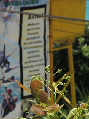 DSCN0127.JPG