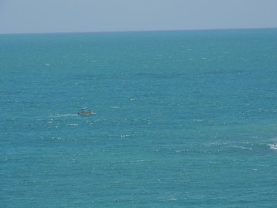 DSCN0128.JPG