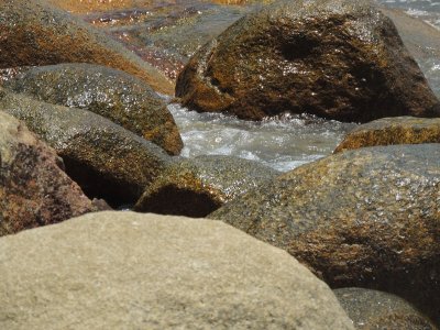 DSCN0184.JPG