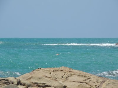 DSCN0198.JPG