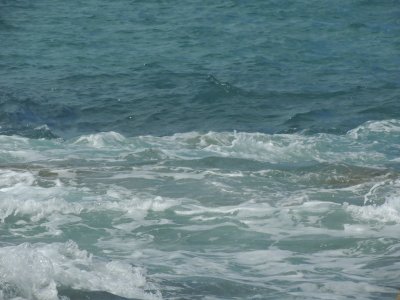 DSCN0247.JPG