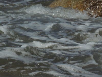 DSCN0259.JPG