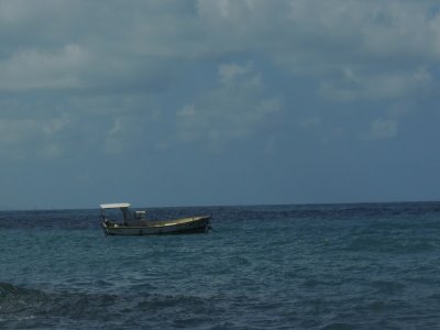 DSCN0263.JPG