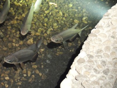 DSCN9593.JPG