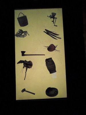 DSCN9608.JPG